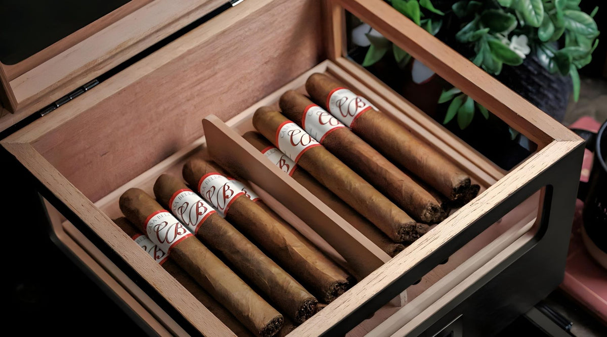 How Long Will A Cigar Last in a Humidor?