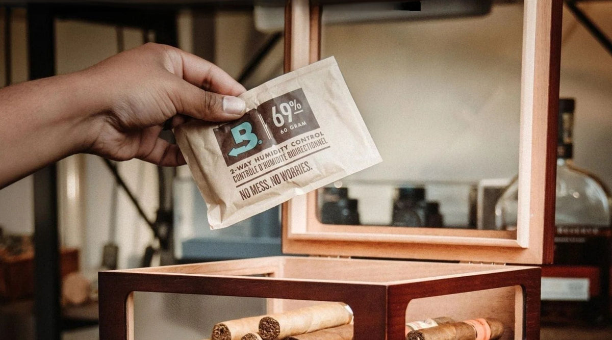 how to season a humidor for cigars