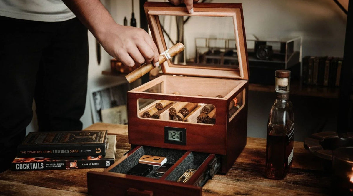 What to Do If You Get Mold in Your Humidor