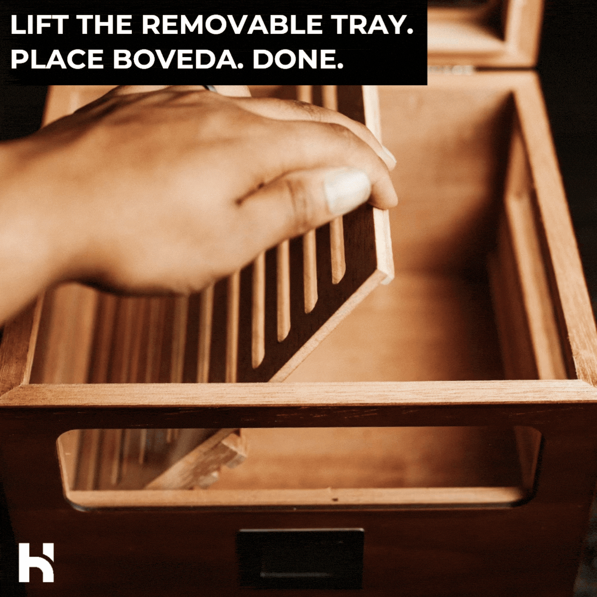 Holme & Hadfield Cigar Humidor The Humidor